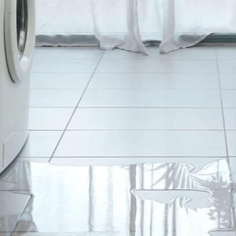 Appliance Leak Cleanup in Oak Hill, WV