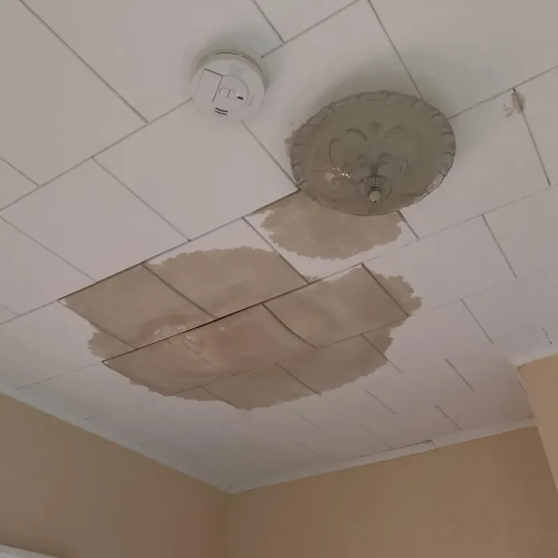 Ceiling Water Damage Repair in Oak Hill, WV