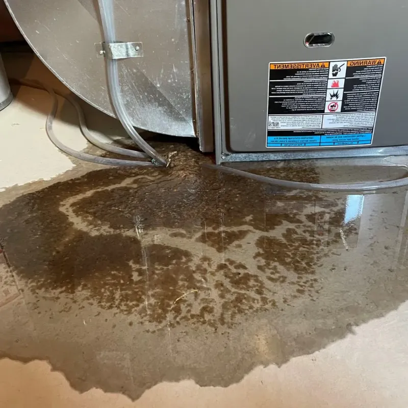 Pipe Burst and Leak Restoration in Oak Hill, WV