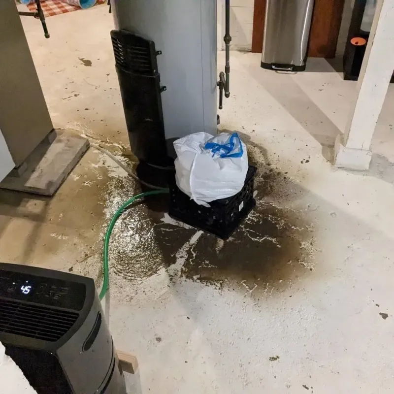 Sewage Backup Cleanup Service in Oak Hill, WV